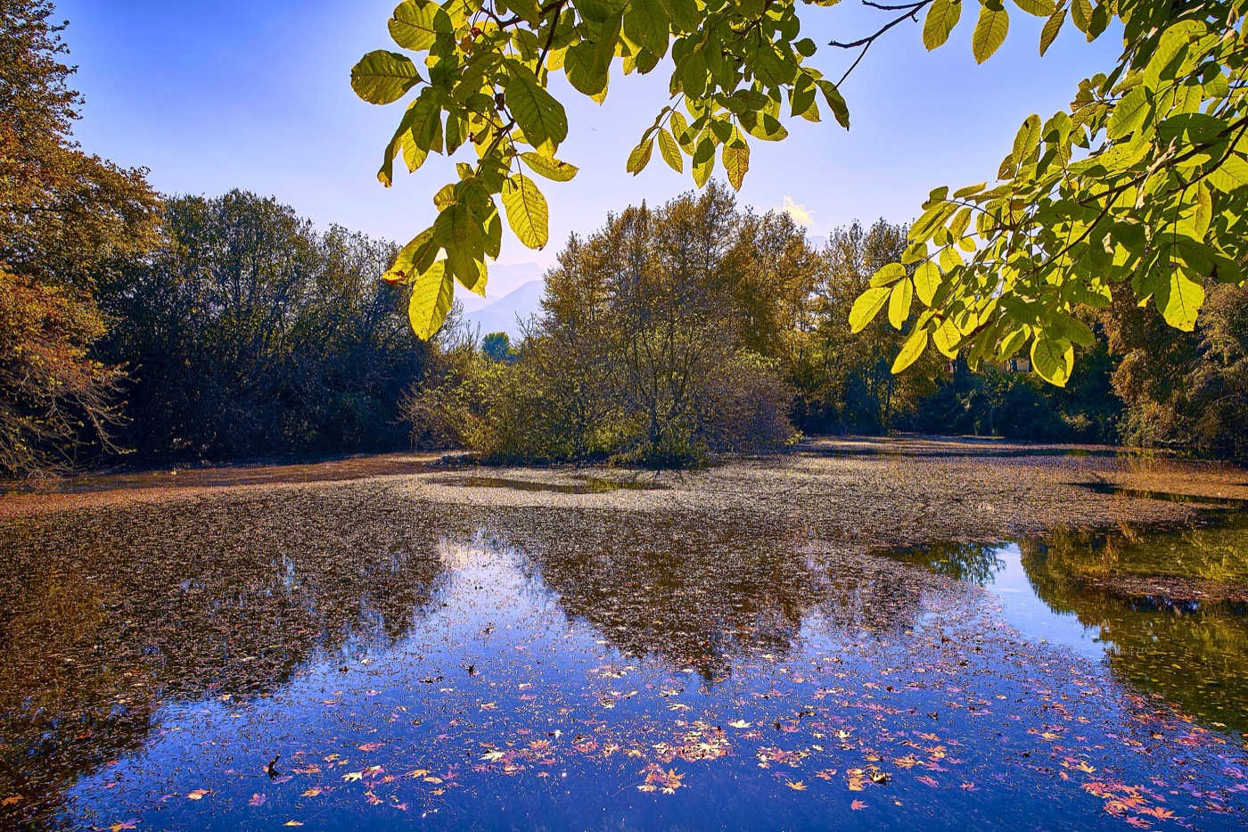 Water channels and greenery at the sacred springs of the Dion archaeological park